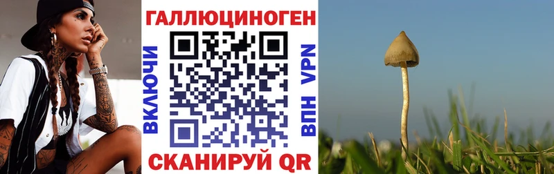 кракен рабочий сайт  площадка официальный сайт  Псилоцибиновые грибы ЛСД  Сорочинск 