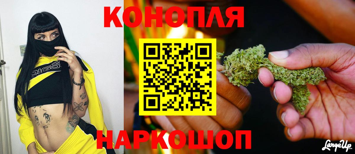 Шишки марихуана конопля Сорочинск